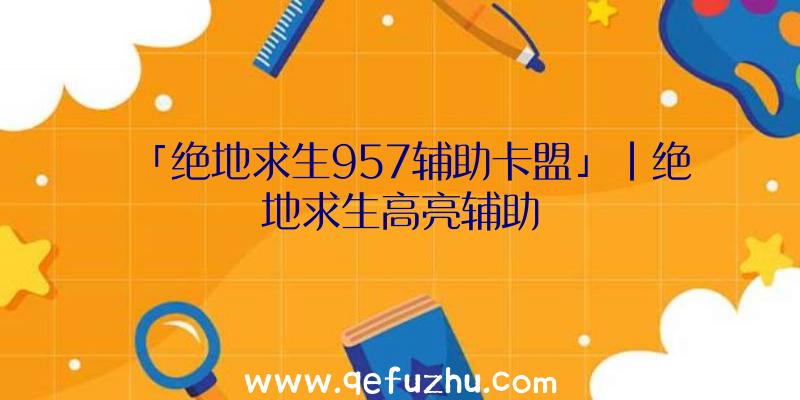 「绝地求生957辅助卡盟」|绝地求生高亮辅助